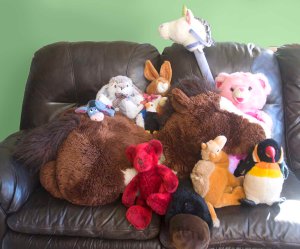 We're such social creatures. The first thing we think about, when we start a new interest, is finding a group of others to do it with. Photo credit Steve Henderson