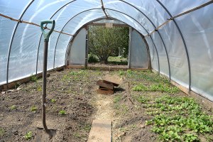 Part of our messy, yet productive, garden and the greenhouse Steve built this spring. Photo credit Steve Henderson Fine Art.